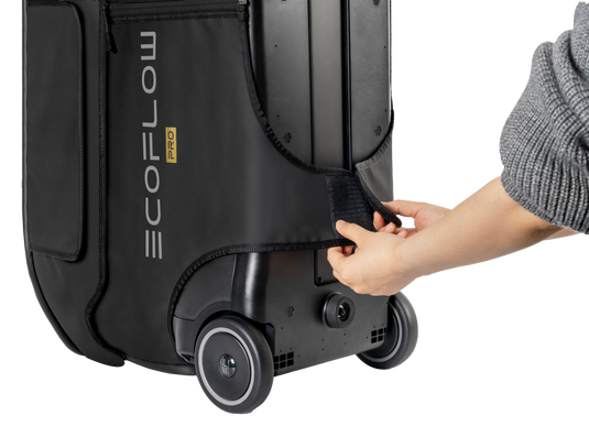 Borsa EcoFlow DELTA Pro