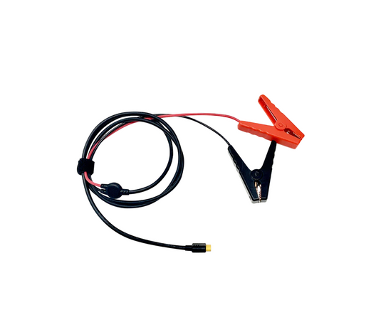 Caricabatteria per auto intelligente EcoFlow 12 Volt / 24 Volt