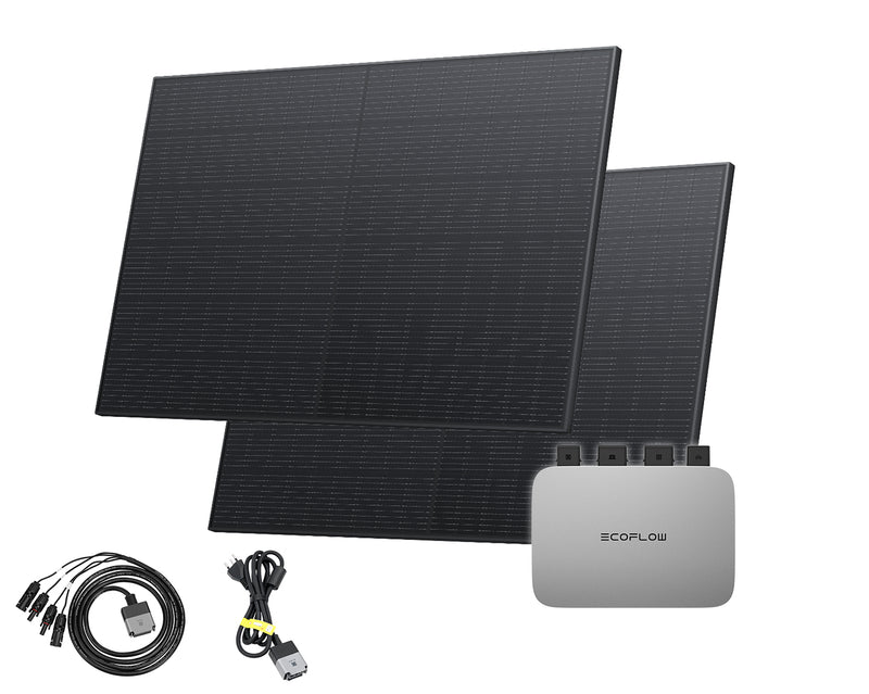 Chargez l'image dans la visionneuse de la galerie, Kit de démarrage pour centrale électrique de balcon EcoFlow | Onduleur de 600 watts et 2 panneaux solaires de 400 watts | Version CH