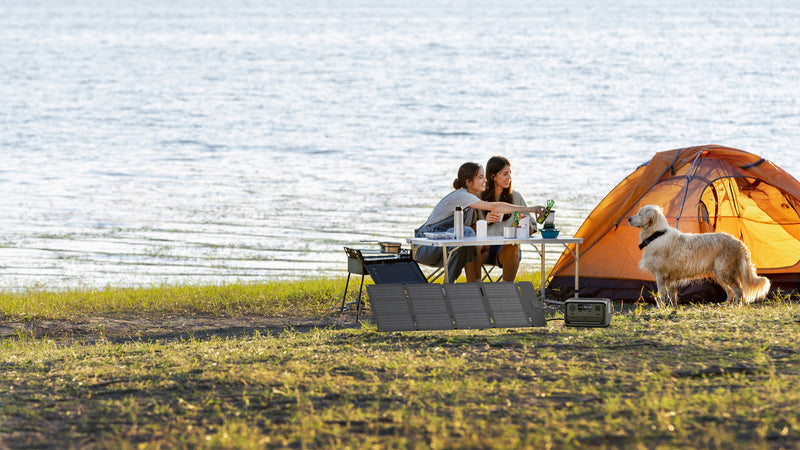 Chargez l'image dans la visionneuse de la galerie, Panneau solaire EcoFlow 60 watts pliable avec sac et connexion USB-C