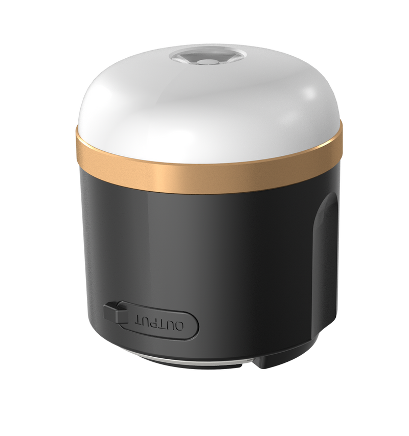 Chargez l'image dans la visionneuse de la galerie, Lampe de camping EcoFlow